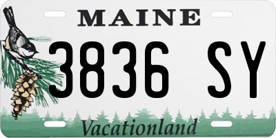 ME license plate 3836SY