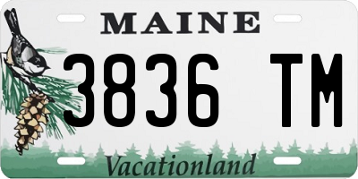 ME license plate 3836TM