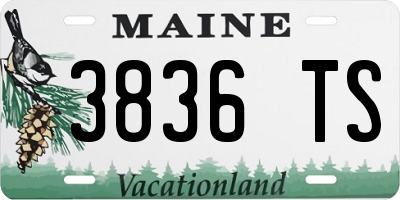 ME license plate 3836TS