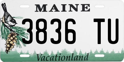 ME license plate 3836TU