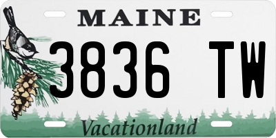 ME license plate 3836TW
