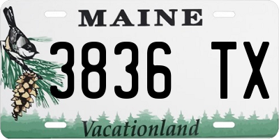 ME license plate 3836TX