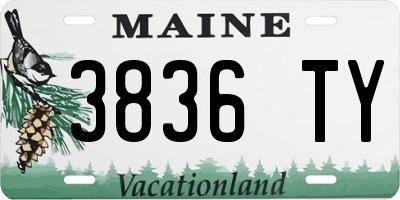 ME license plate 3836TY