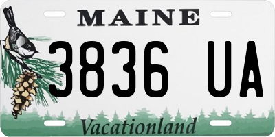 ME license plate 3836UA