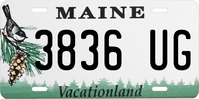 ME license plate 3836UG