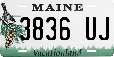 ME license plate 3836UJ
