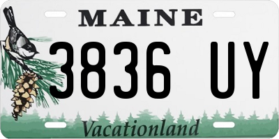 ME license plate 3836UY