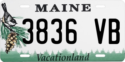 ME license plate 3836VB