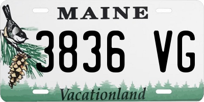 ME license plate 3836VG