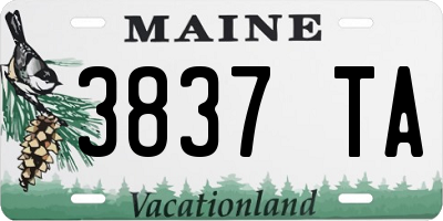 ME license plate 3837TA