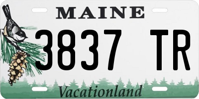 ME license plate 3837TR