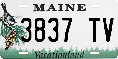 ME license plate 3837TV