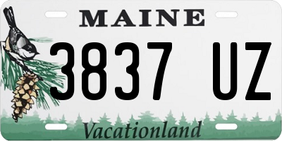 ME license plate 3837UZ