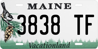 ME license plate 3838TF
