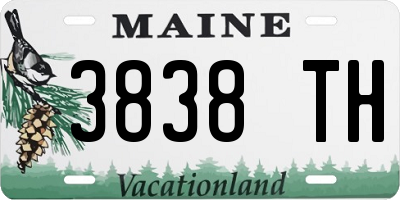 ME license plate 3838TH
