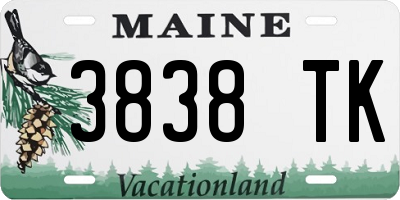 ME license plate 3838TK