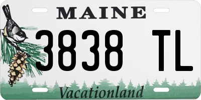 ME license plate 3838TL