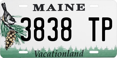 ME license plate 3838TP