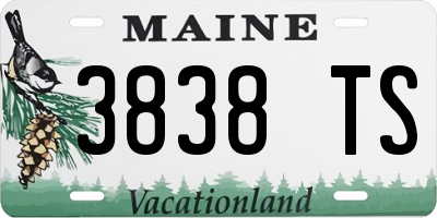 ME license plate 3838TS