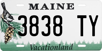ME license plate 3838TY