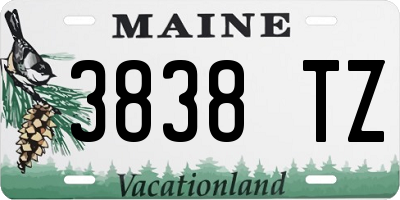 ME license plate 3838TZ
