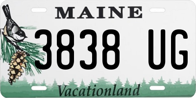 ME license plate 3838UG