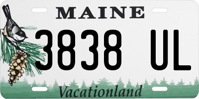 ME license plate 3838UL