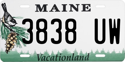 ME license plate 3838UW