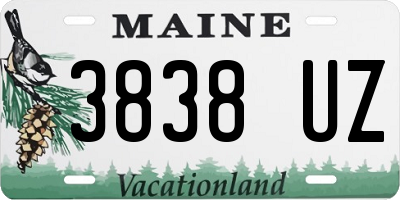 ME license plate 3838UZ