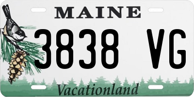 ME license plate 3838VG