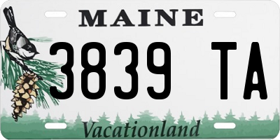 ME license plate 3839TA