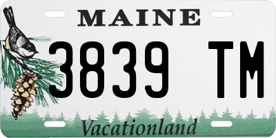 ME license plate 3839TM