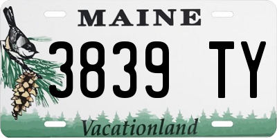 ME license plate 3839TY