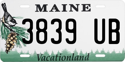ME license plate 3839UB