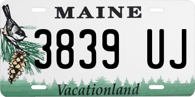 ME license plate 3839UJ