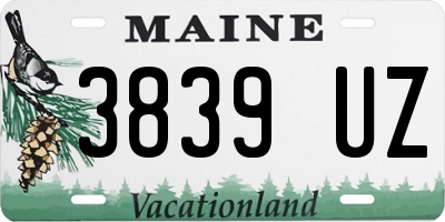 ME license plate 3839UZ