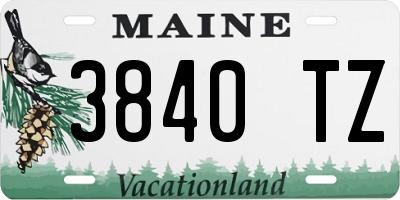 ME license plate 3840TZ