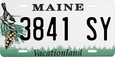 ME license plate 3841SY