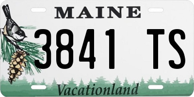 ME license plate 3841TS