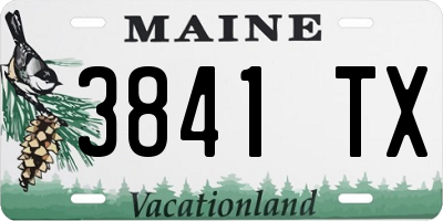 ME license plate 3841TX