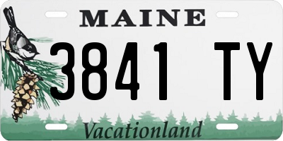 ME license plate 3841TY