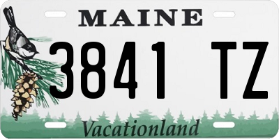 ME license plate 3841TZ