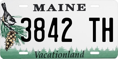 ME license plate 3842TH