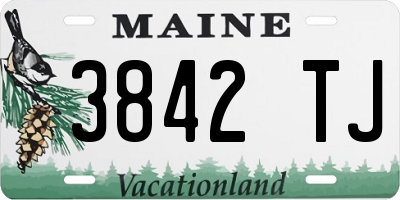 ME license plate 3842TJ