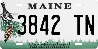 ME license plate 3842TN