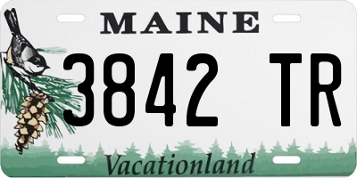 ME license plate 3842TR
