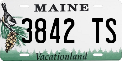 ME license plate 3842TS