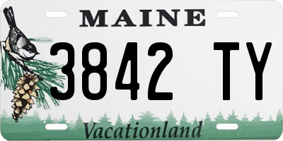 ME license plate 3842TY
