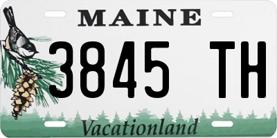 ME license plate 3845TH