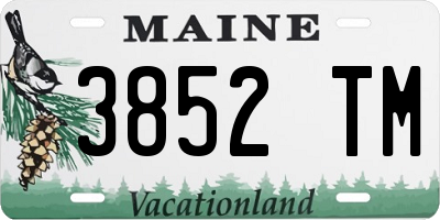 ME license plate 3852TM